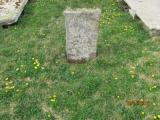 image of grave number 778425